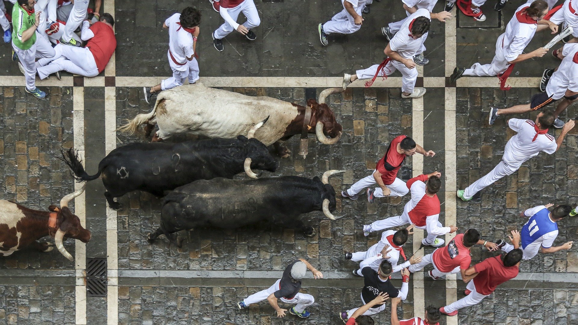 Running With The Bulls? Everything Is Not A Priority